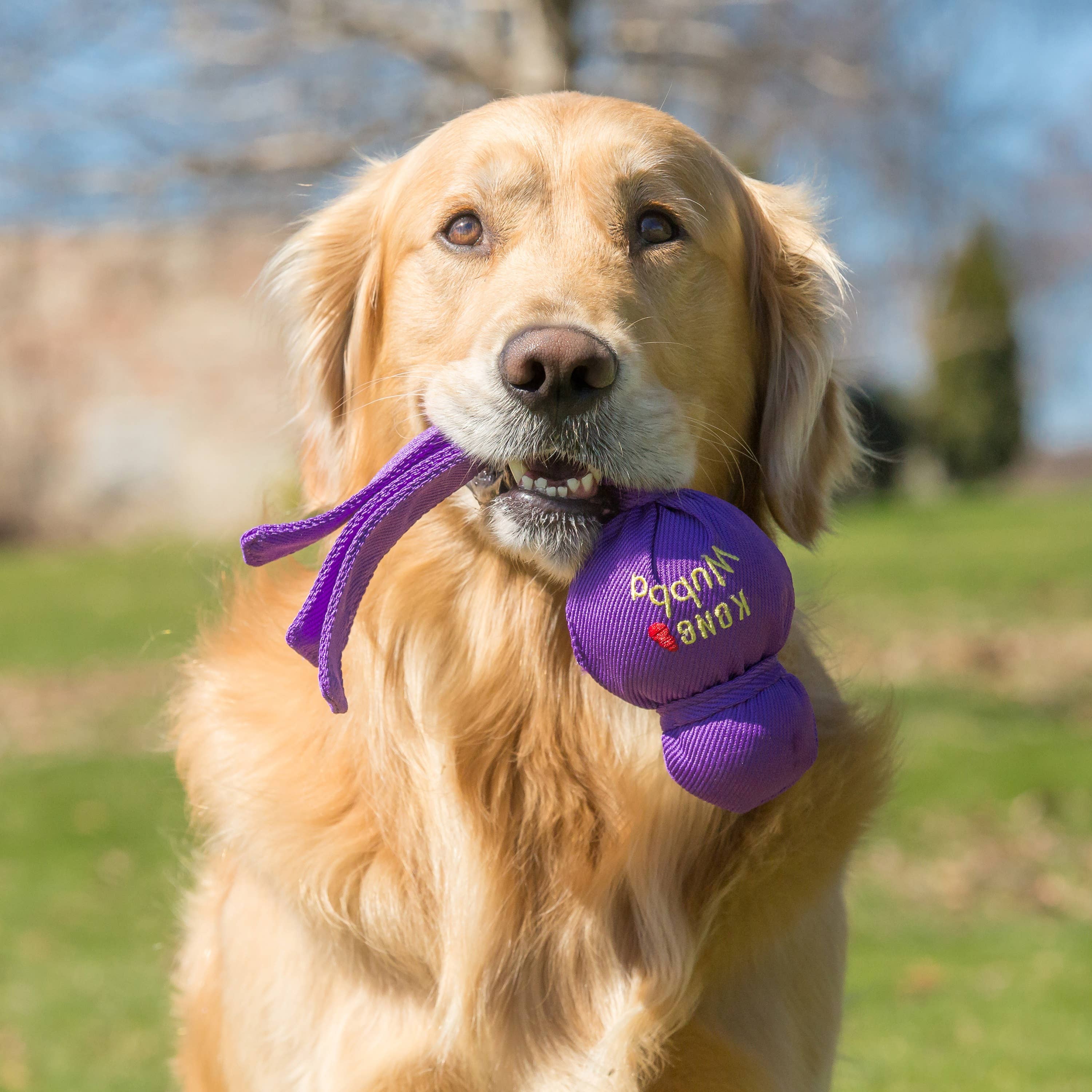 KONG® Wubba™ Dog Tug Toy Assorted Large