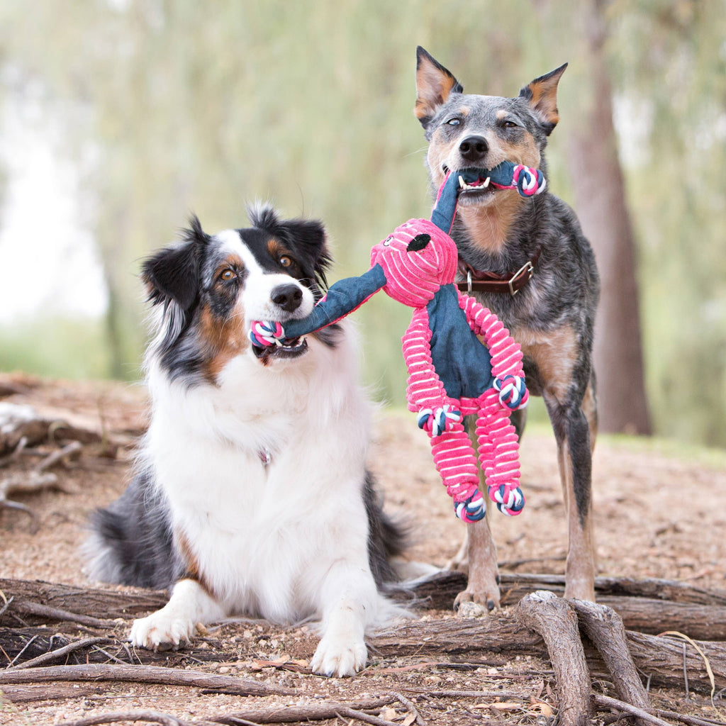 KONG® Floppy Knots Fox Dog Rope Toy Medium/Large