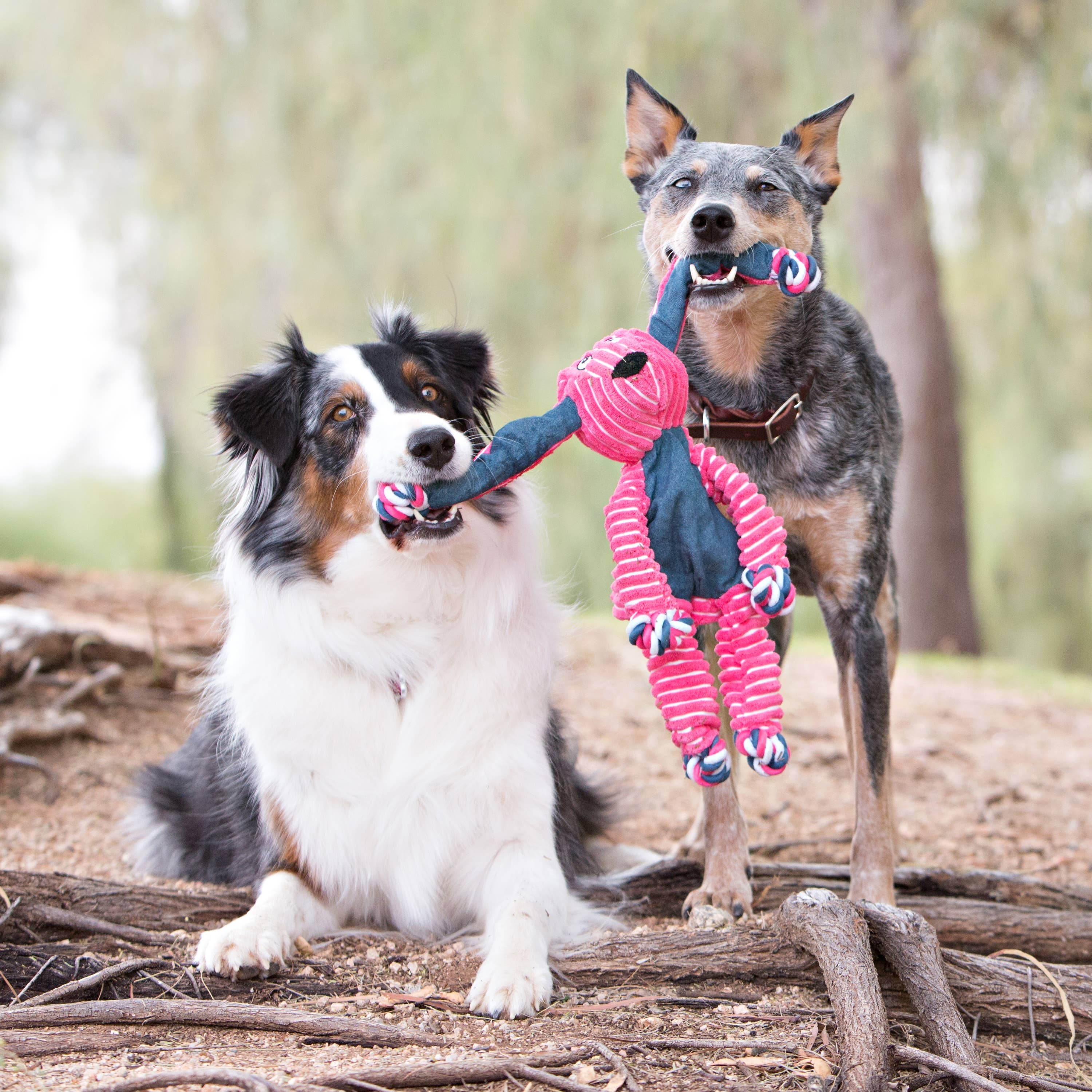 KONG® Floppy Knots Fox Dog Rope Toy Medium/Large