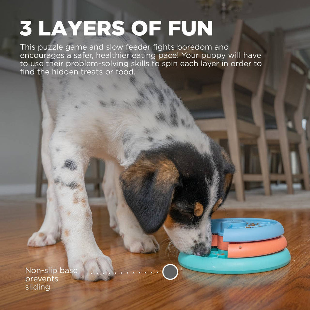 Nina Ottosson Puppy Lickin' Layers Multicolor